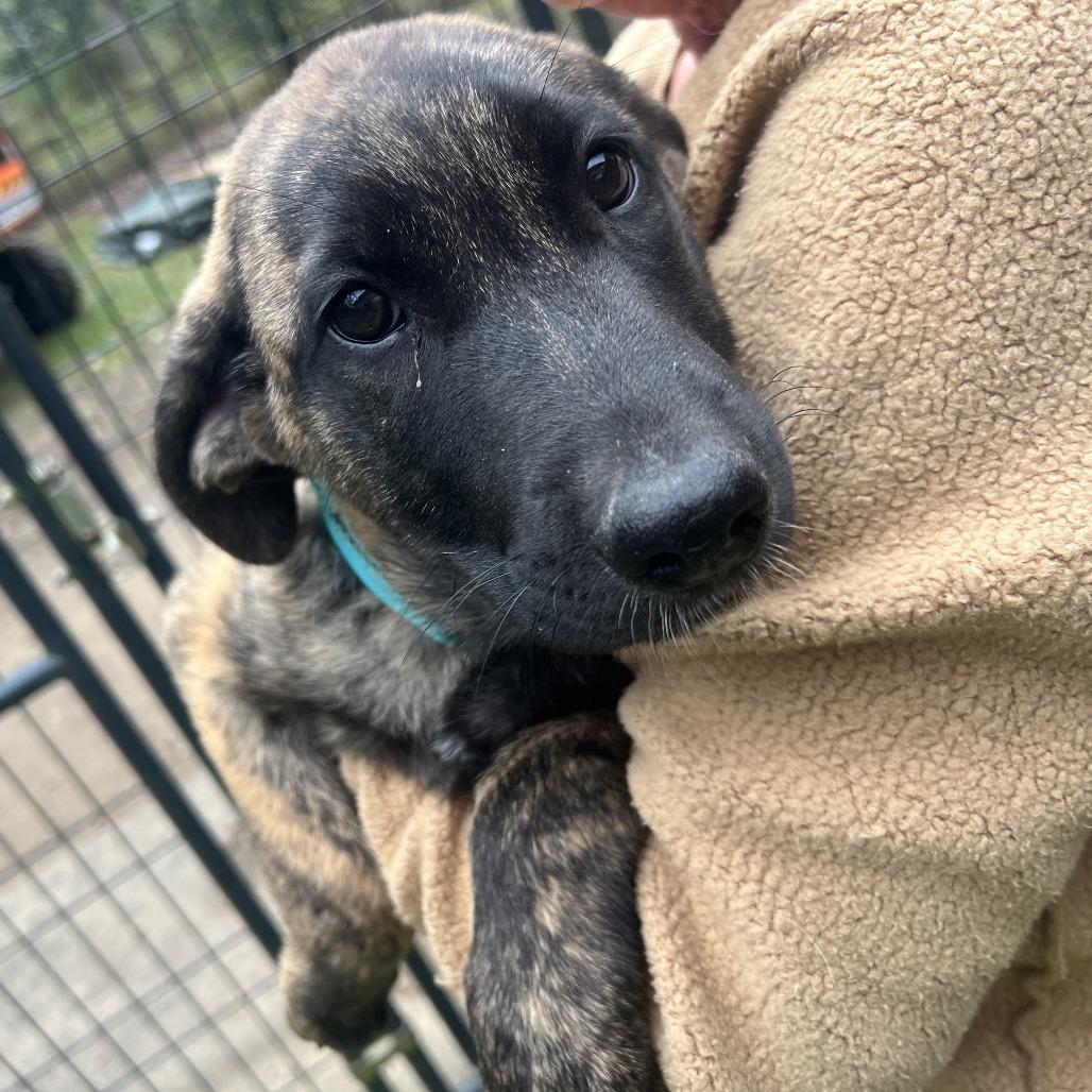 Tilley — thumbnail 5