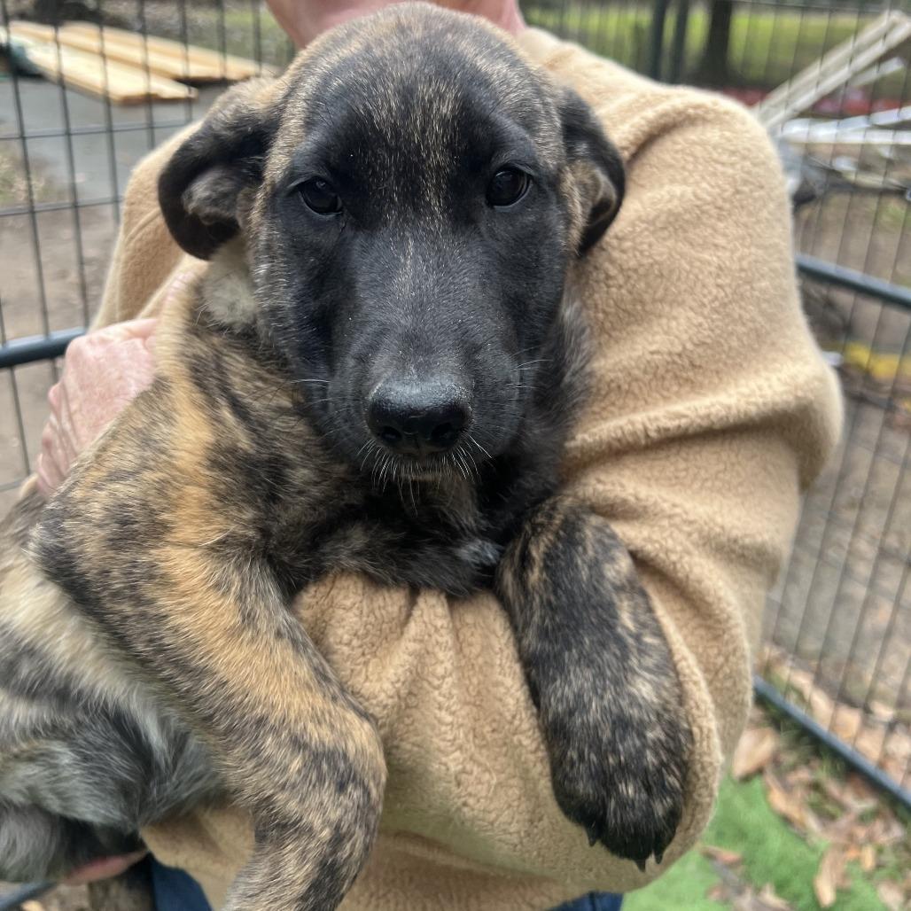 Tilley — thumbnail 6