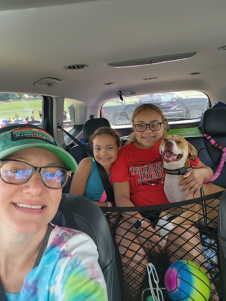 Enlarge Simone, a Adoptable Pit Bull Terrier in Jefferson, IA image 2/4