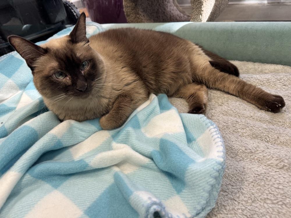 Tilly — thumbnail 3