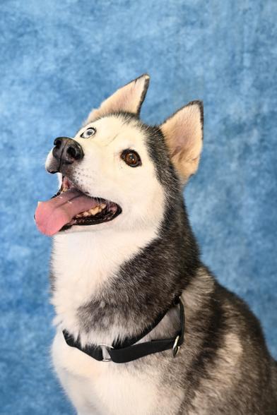 Everest — thumbnail 2