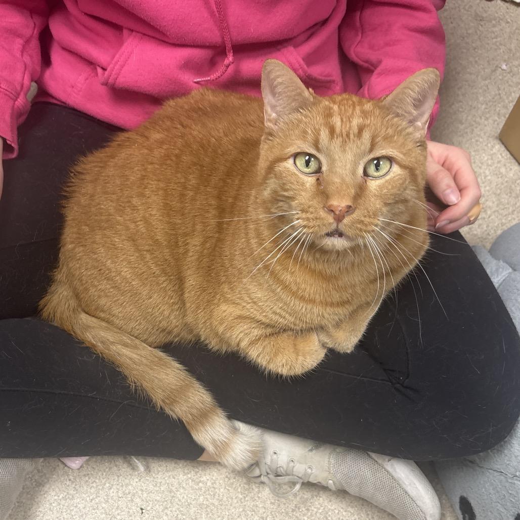 Donald — thumbnail 2