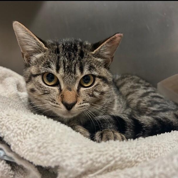 Sage Delgado — thumbnail 3