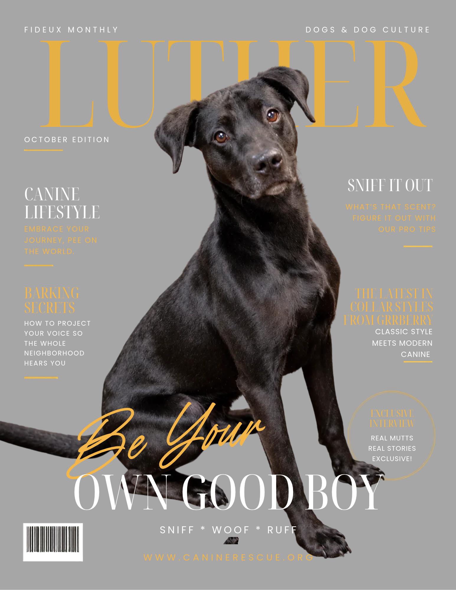 Enlarge Luther, a Adoptable mixed breed in Westfield, NY image 2/6
