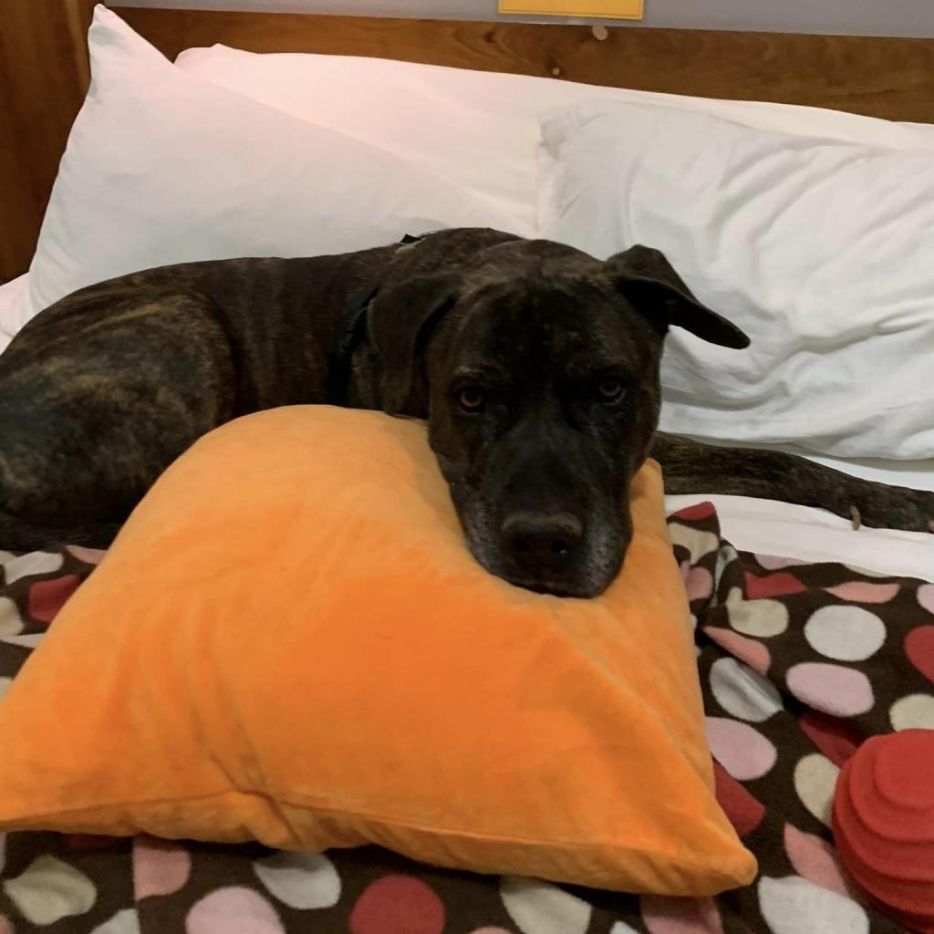 Buzz Lightyear — thumbnail 2