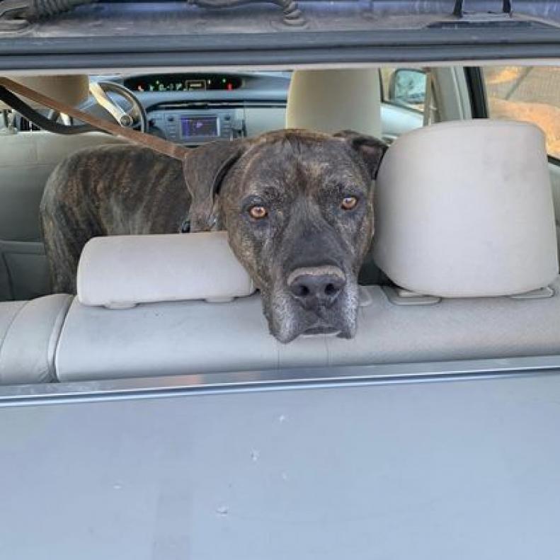 Buzz Lightyear — thumbnail 6