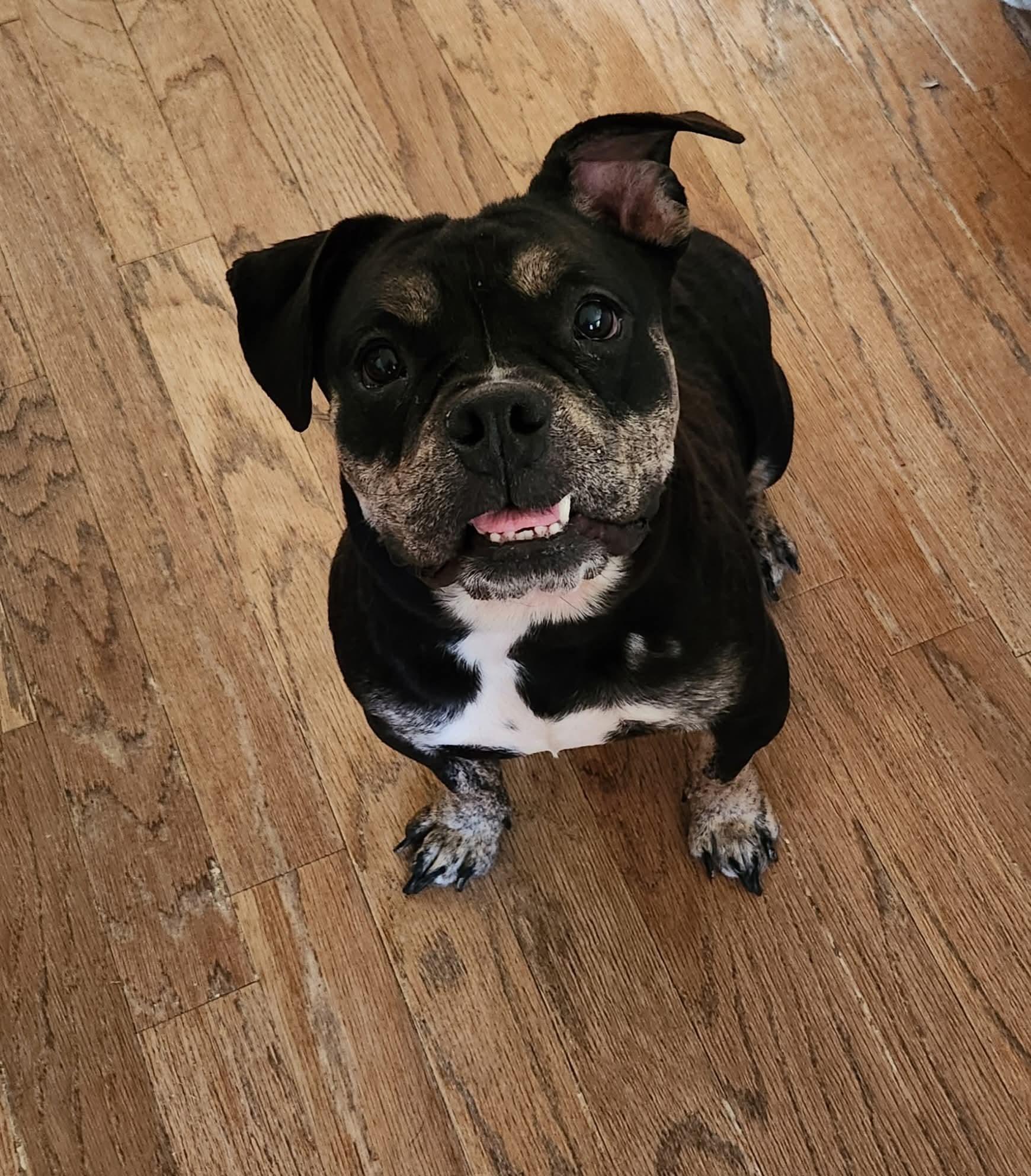 Ella