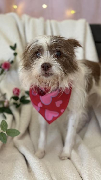 Edna — thumbnail 2