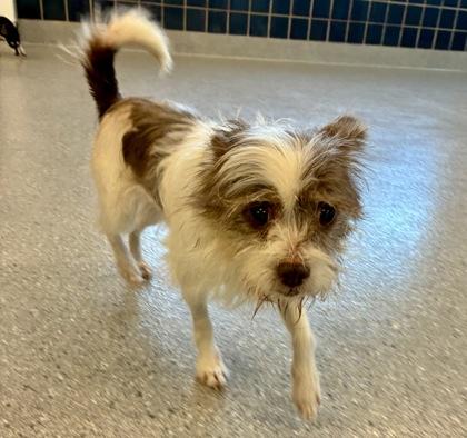 Edna — thumbnail 3