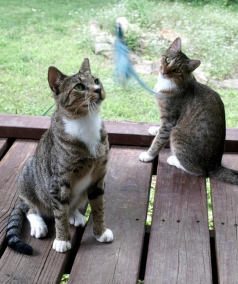 Chalky and Rusti — thumbnail 5