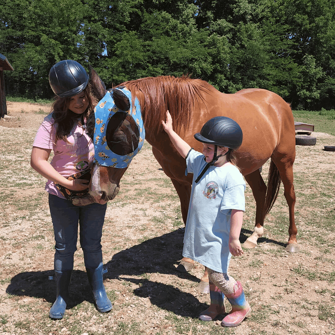 Enlarge Bugsy, a Adopted Grade in Willard, MO image 3/15