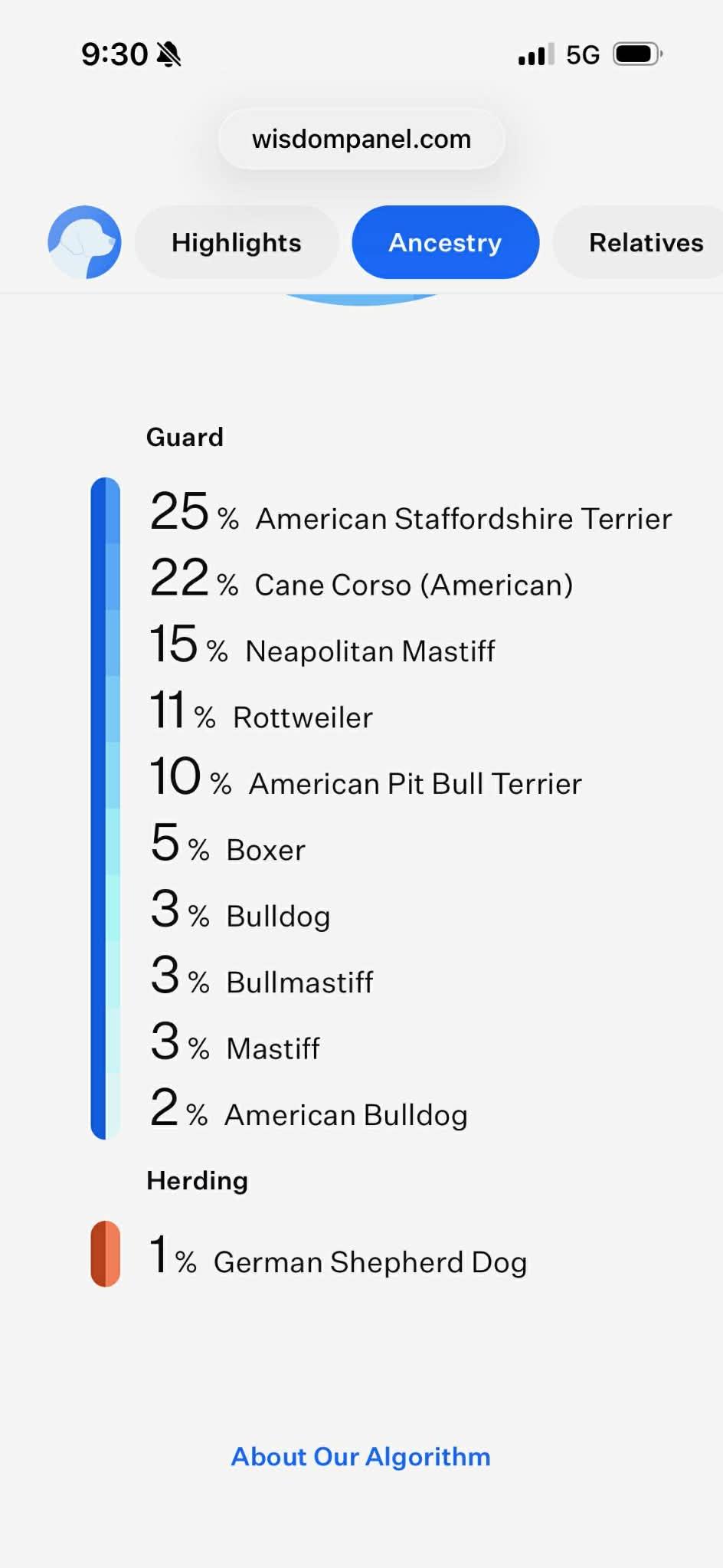 Enlarge Violet, a ADOPTABLE mixed breed in Lakeland, FL image 3/5