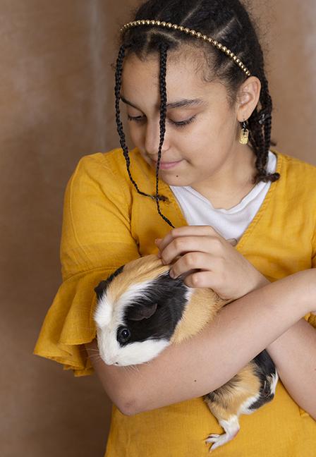 Enlarge Lord Sheldon and Woody, an adopted Guinea Pig in Chicago, IL image 3/3