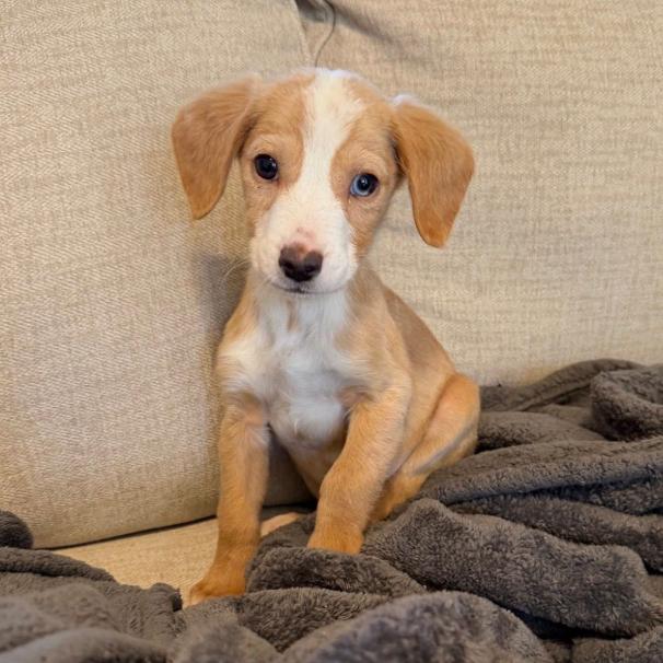 Gentilly thumbnail 2