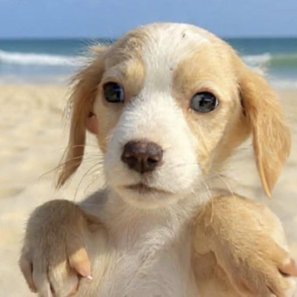 Gentilly thumbnail 3