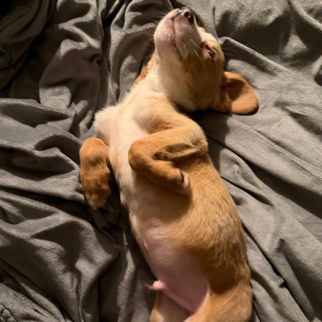 Gentilly thumbnail 5