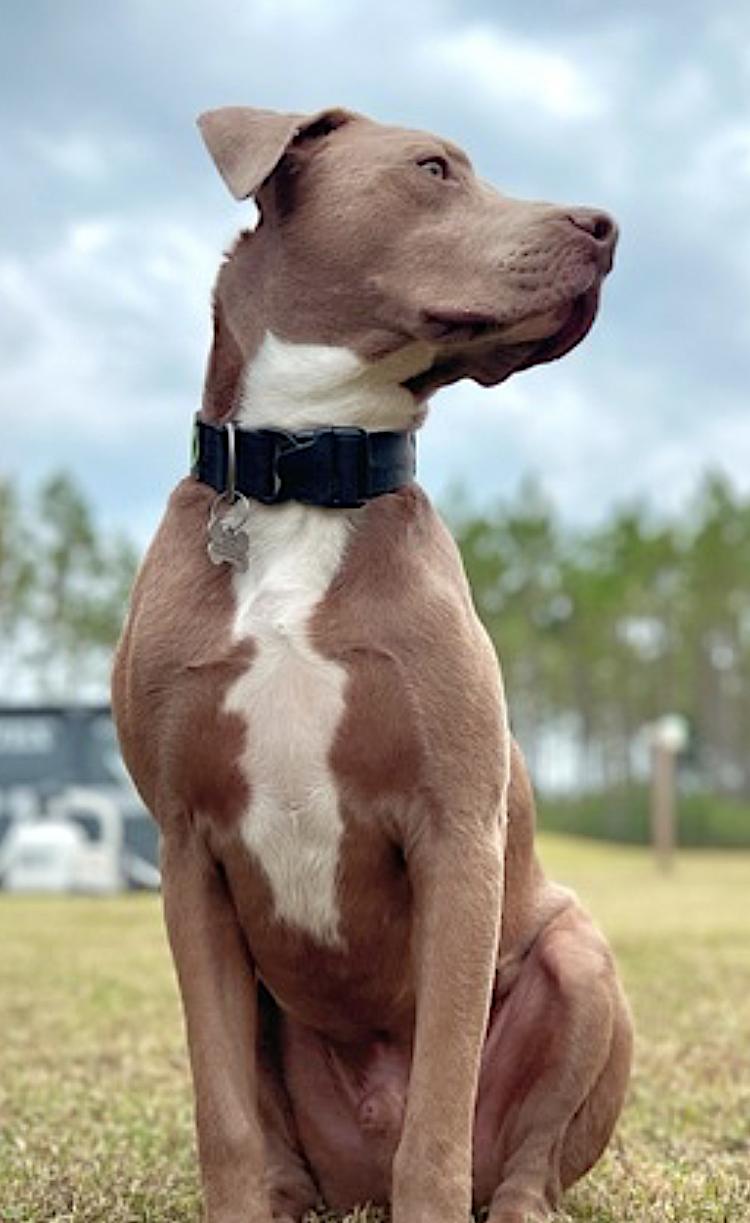 Arlo photo 3
