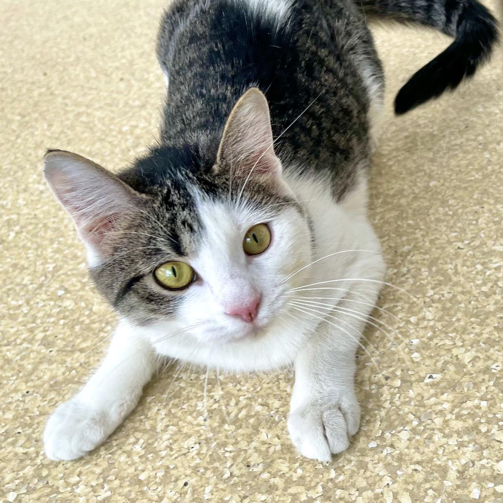 Macrame — thumbnail 5