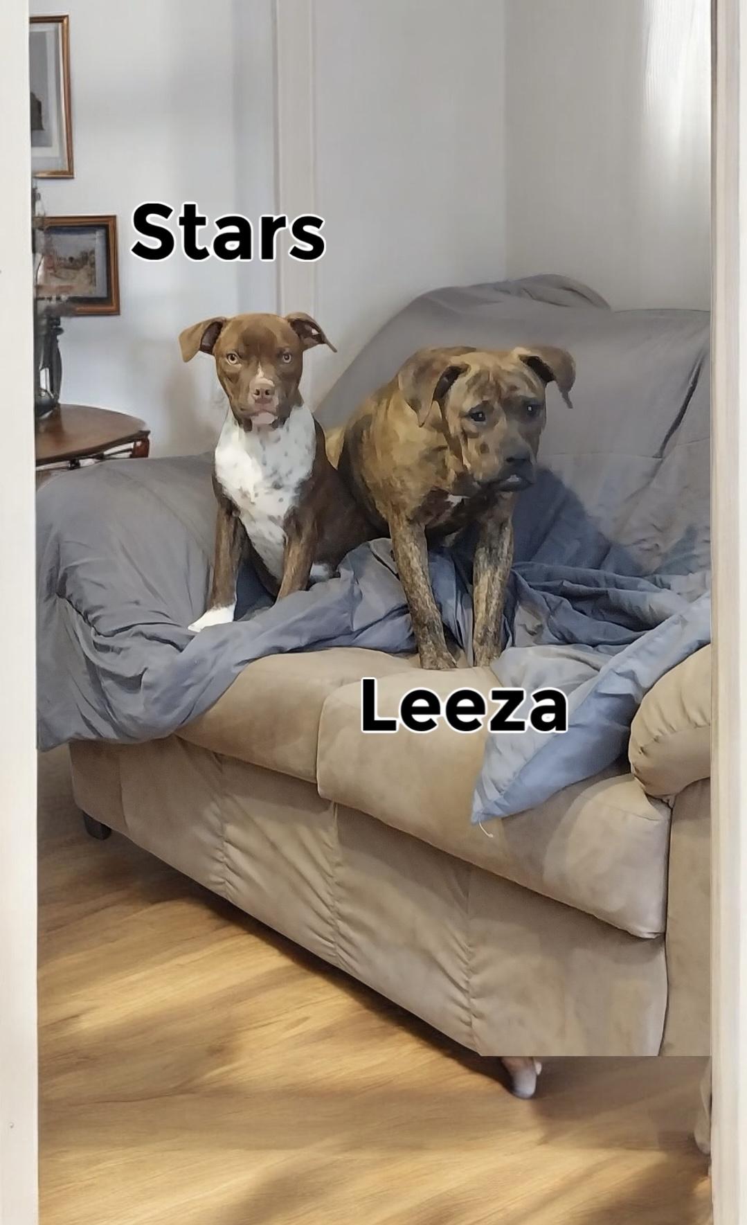 Leeza photo 2