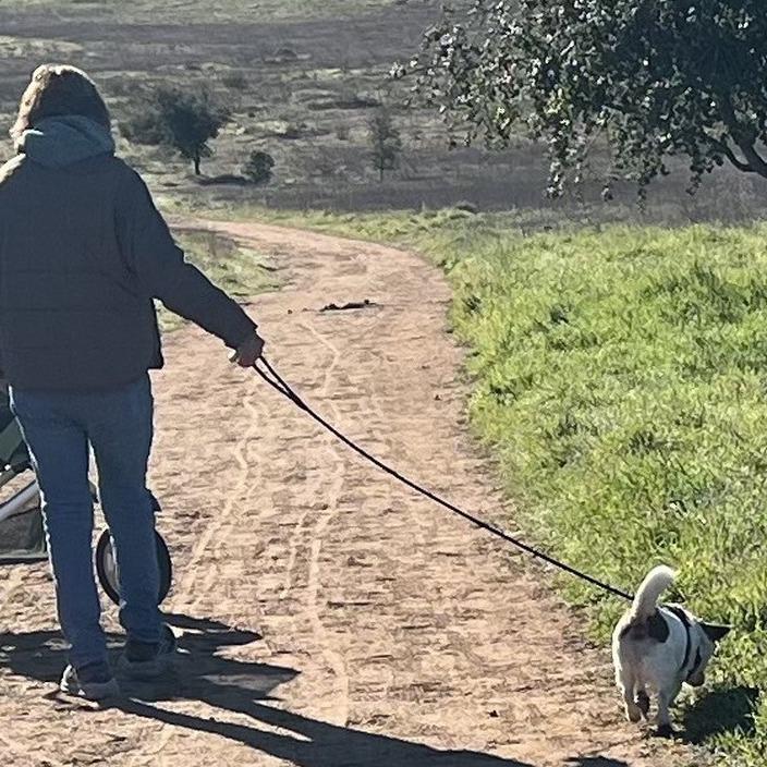 Artie — thumbnail 2