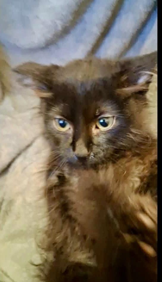 Stormie photo