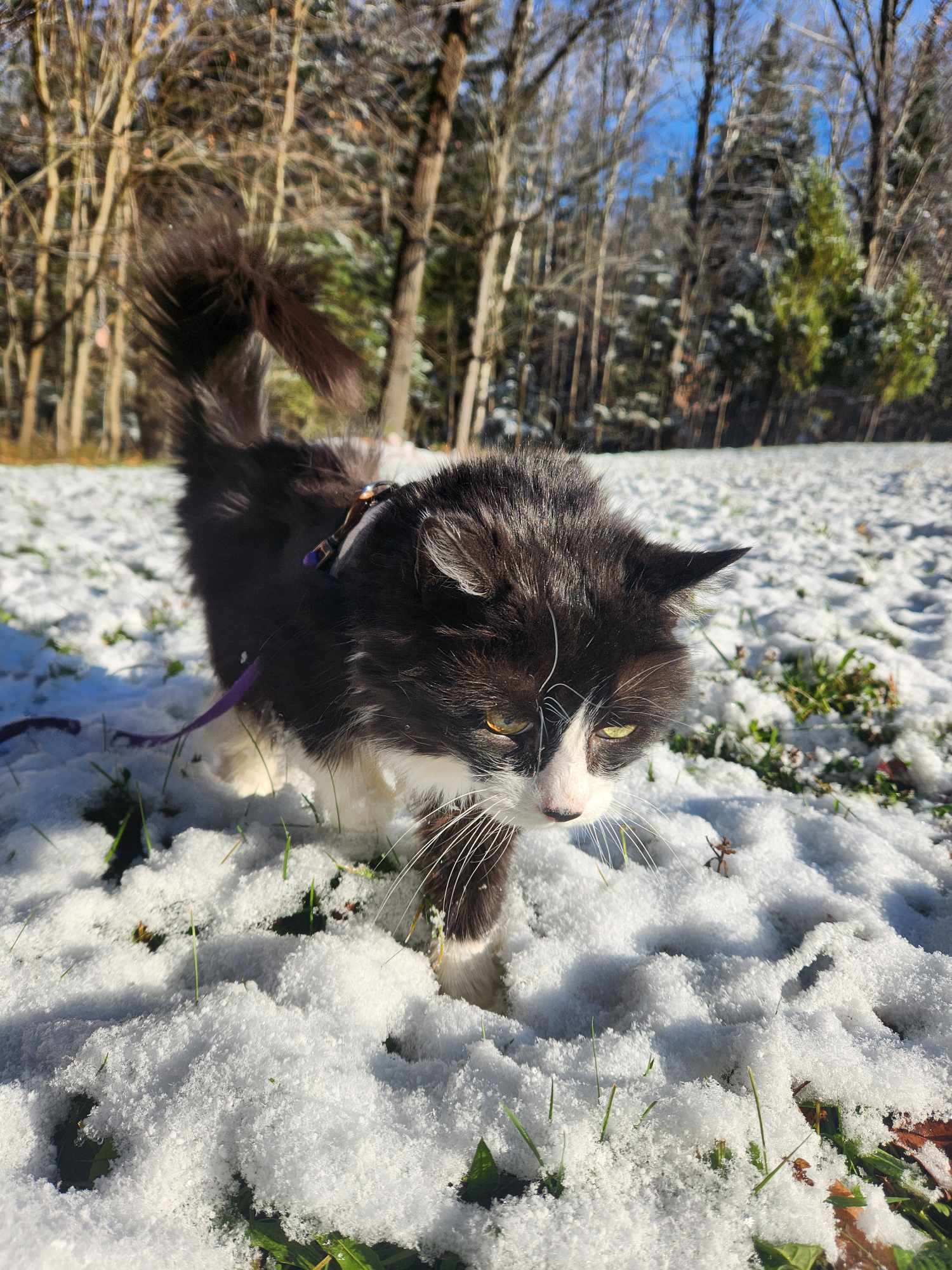 Smudge 3