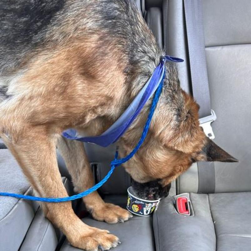 Jack — thumbnail 3