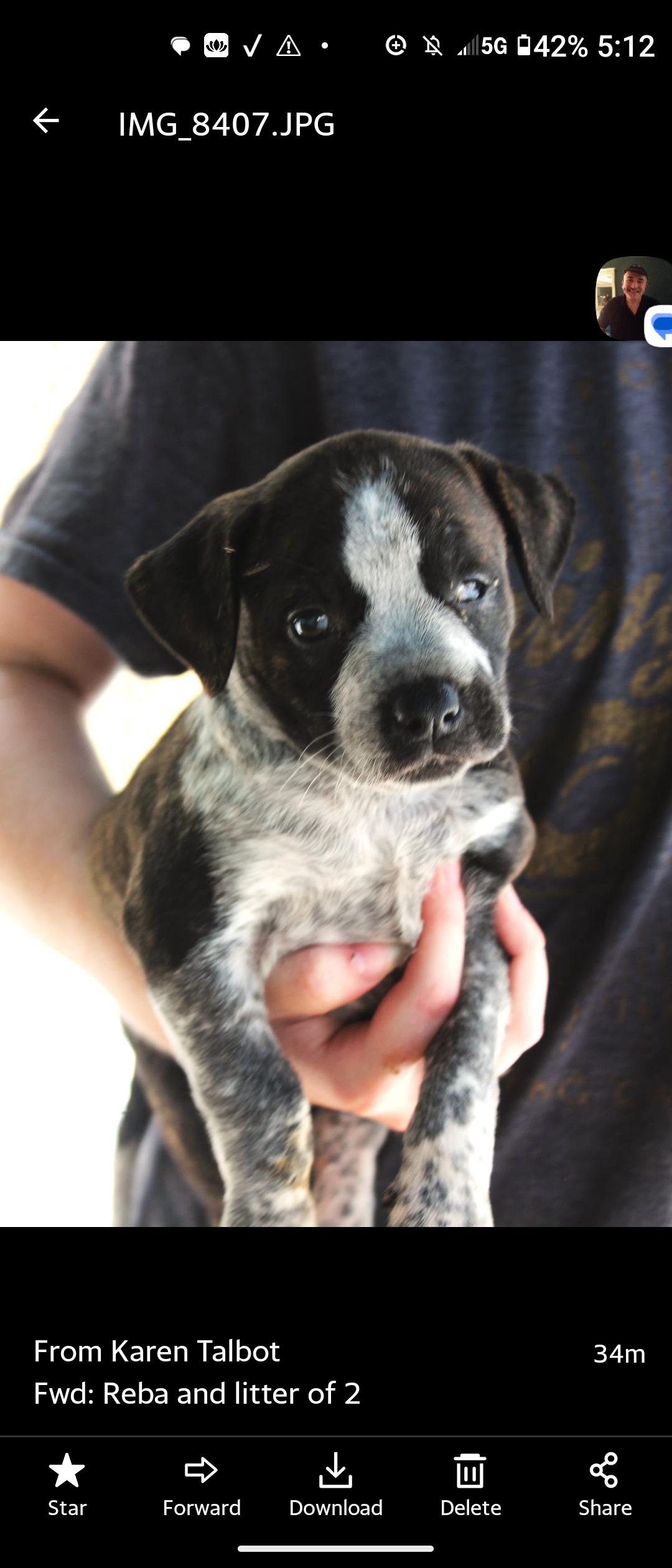 ROO