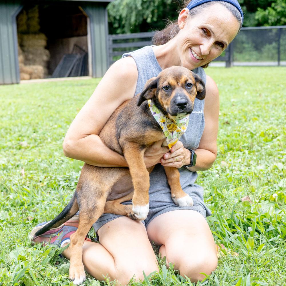 Diamond  (Female)  Available 8/23