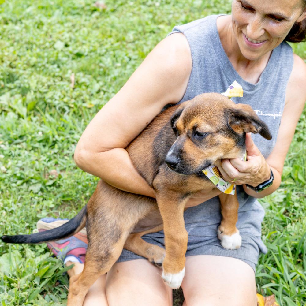 Diamond  (Female)  Available 8/23