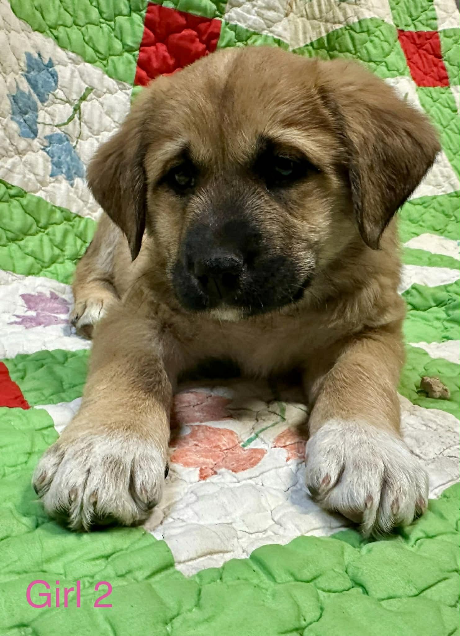 Janie Jackpot — thumbnail 3