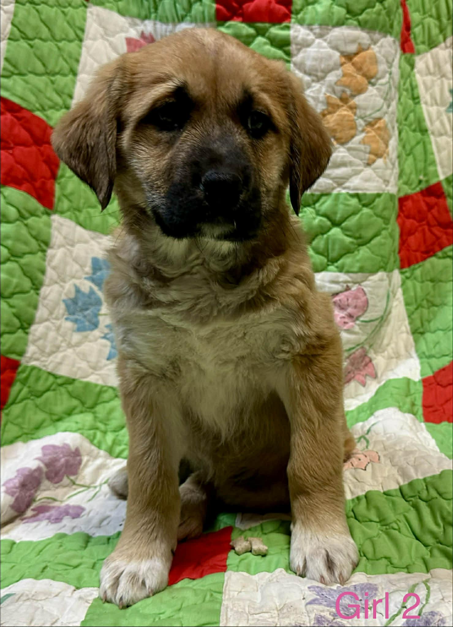 Janie Jackpot — thumbnail 4