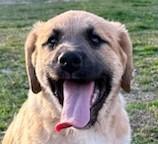 Janie Jackpot — thumbnail 5