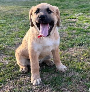 Janie Jackpot — thumbnail 6