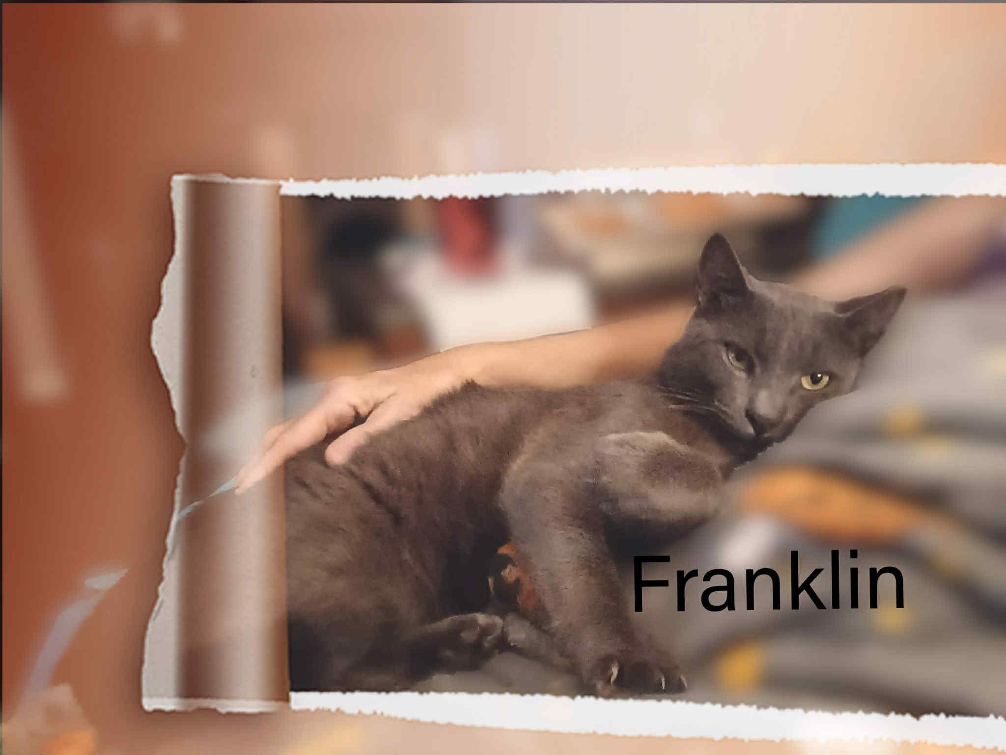 Franklin