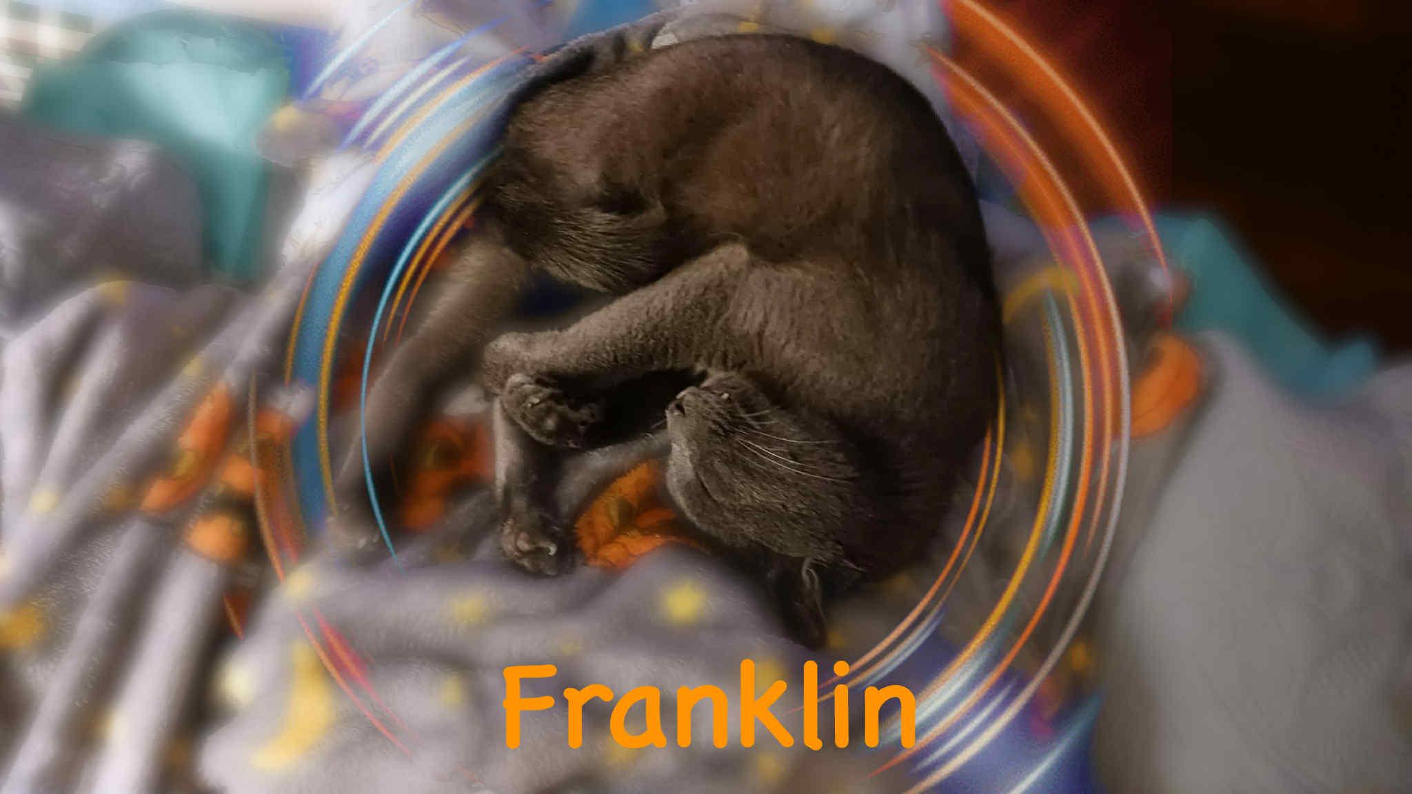 Franklin