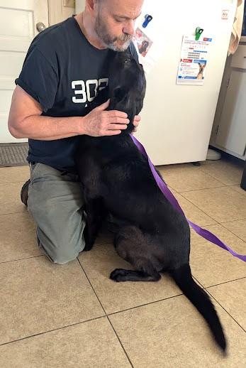 Enlarge Dahlia, a ADOPTABLE mixed breed in Floyd, VA image 3/4