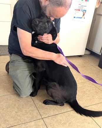 Enlarge Dahlia, a ADOPTABLE mixed breed in Floyd, VA image 2/4