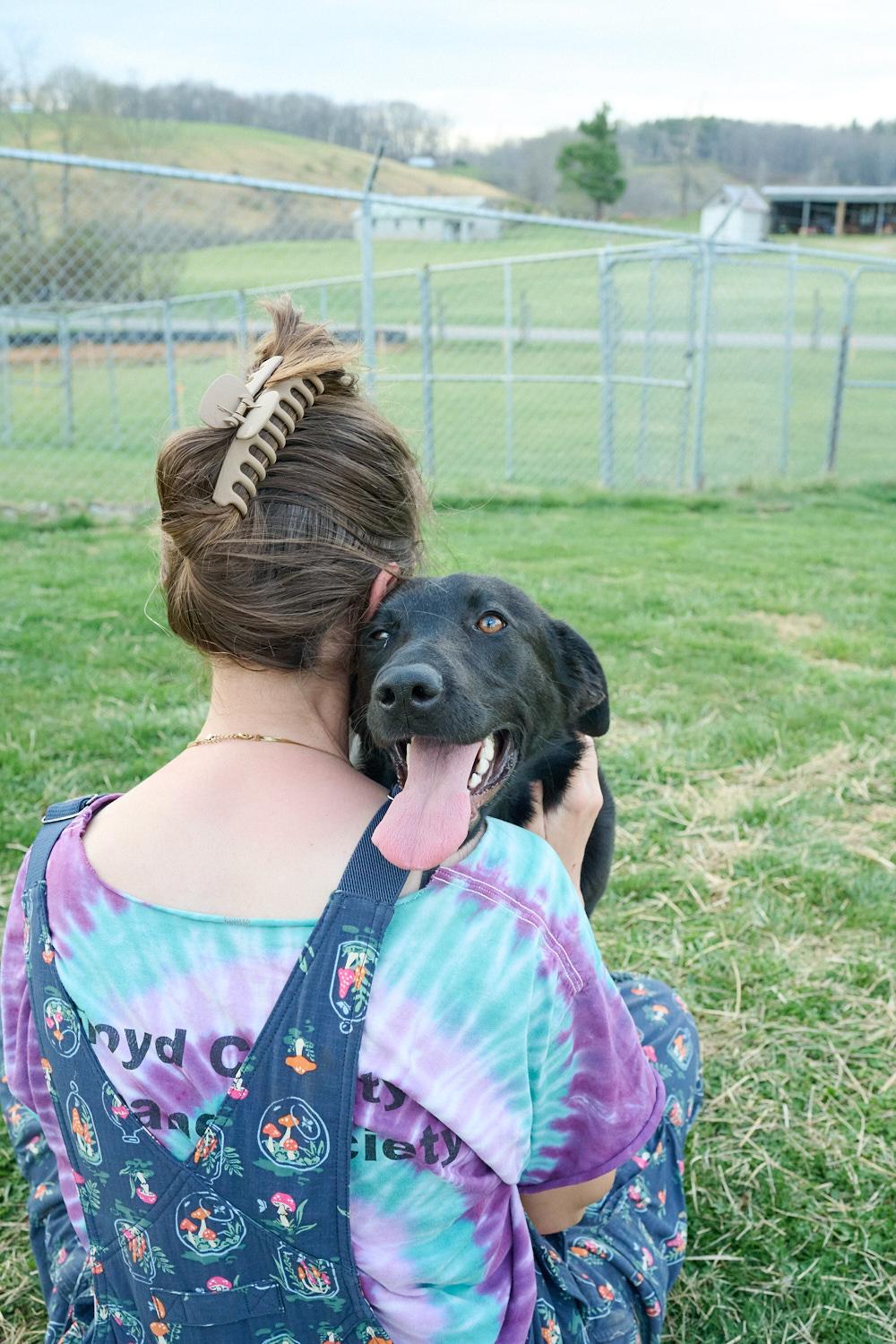 Enlarge Dahlia, a ADOPTABLE mixed breed in Floyd, VA image 3/6