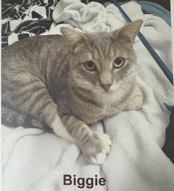 Biggie