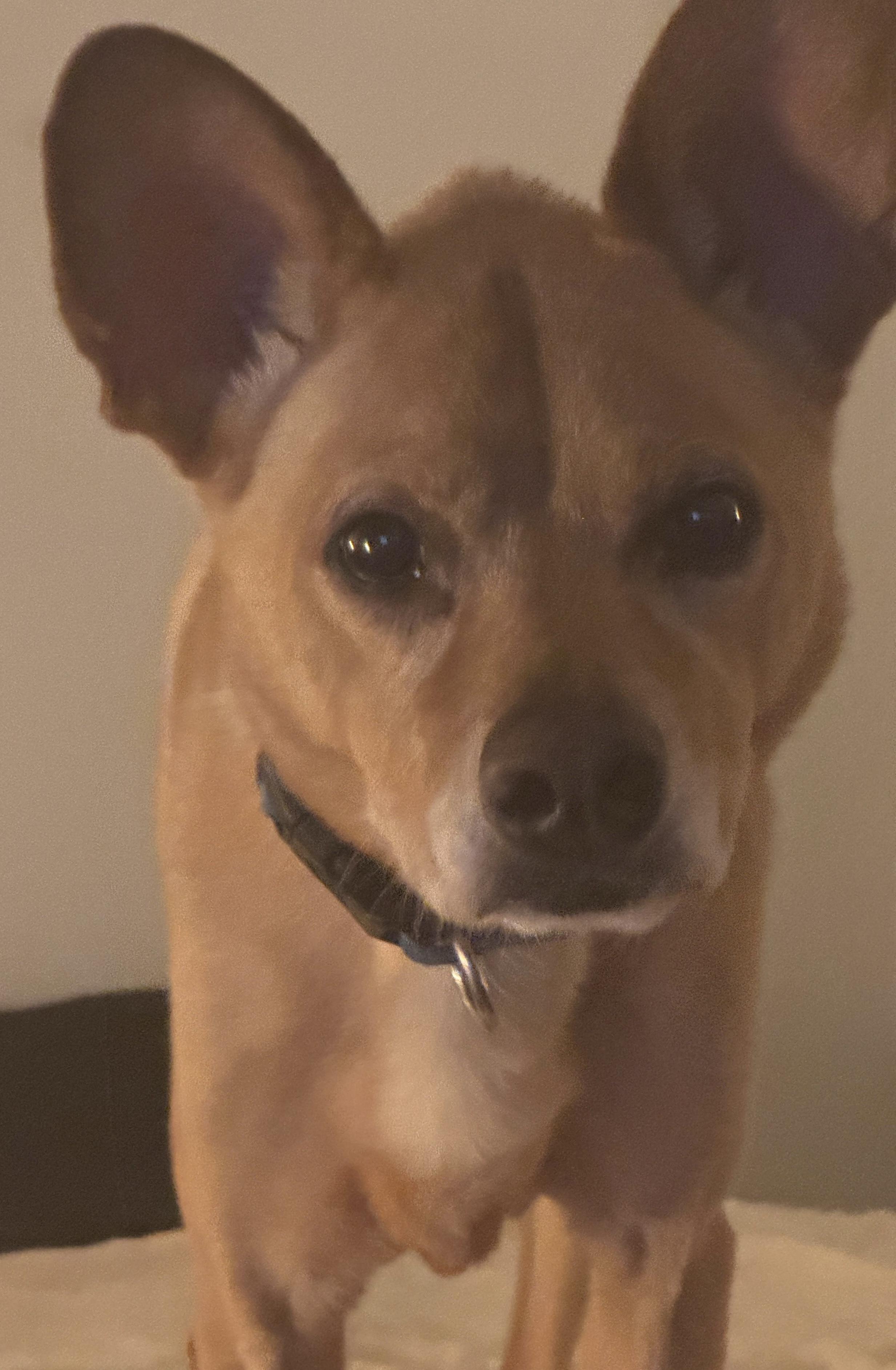 Major — thumbnail 3