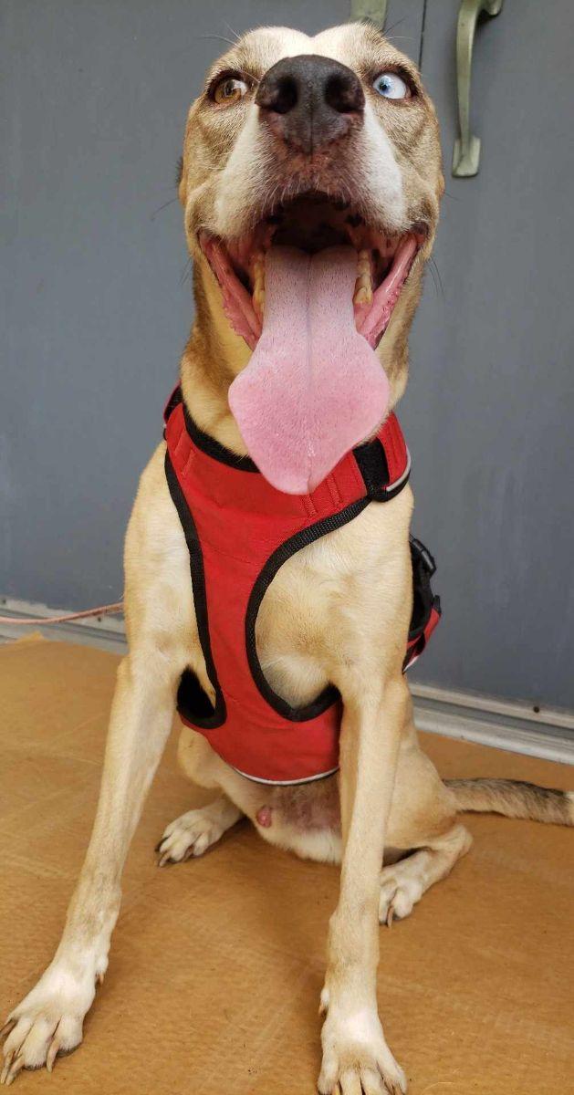 Audio — thumbnail 5