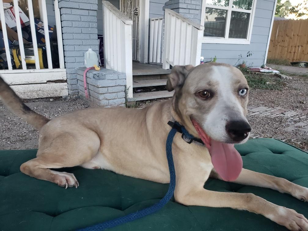 Audio — thumbnail 6