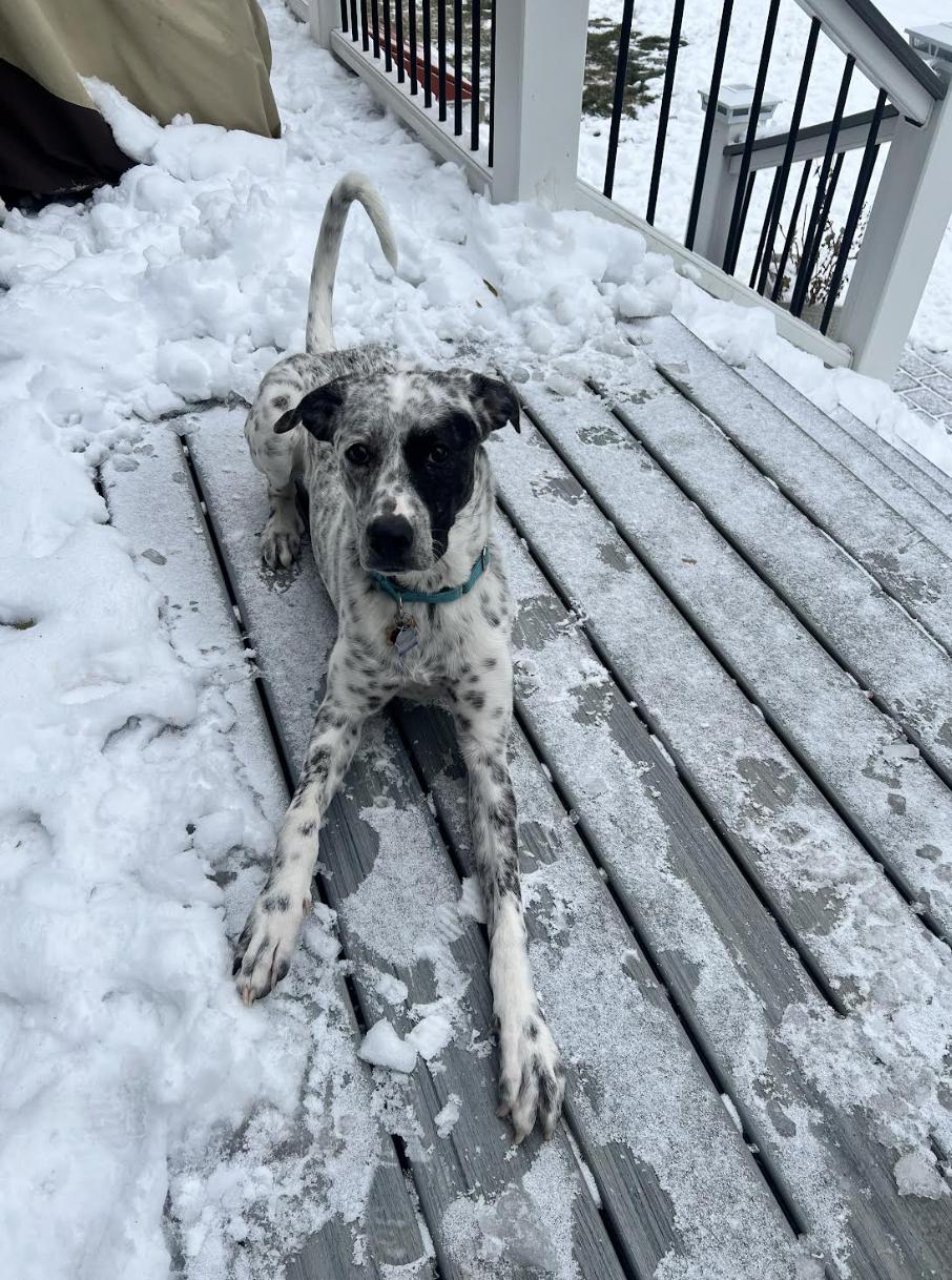 Brinkley Fuzzy — thumbnail 2