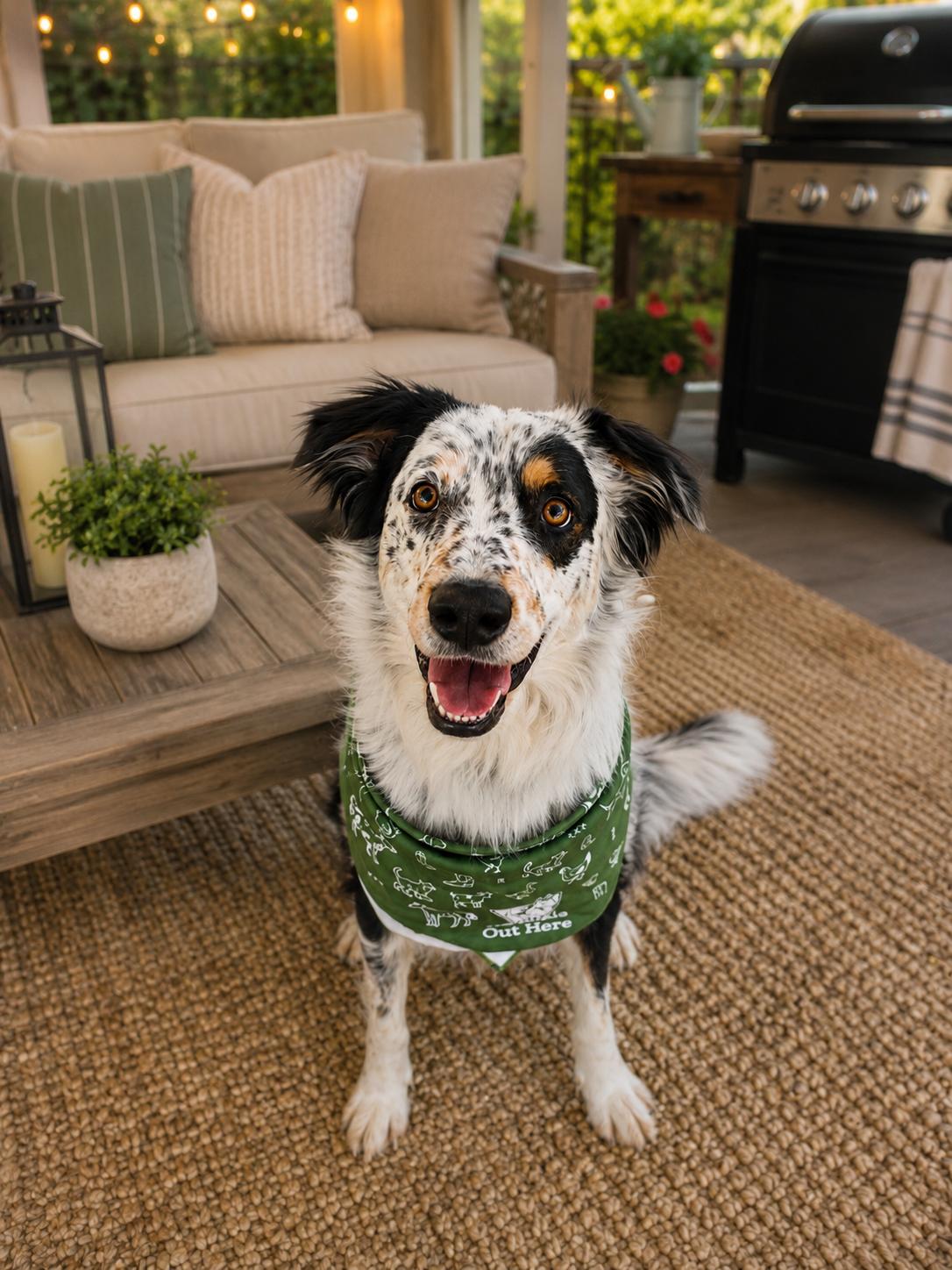 Enlarge Cooper, a ADOPTABLE mixed breed in Susanville, CA image 1/1
