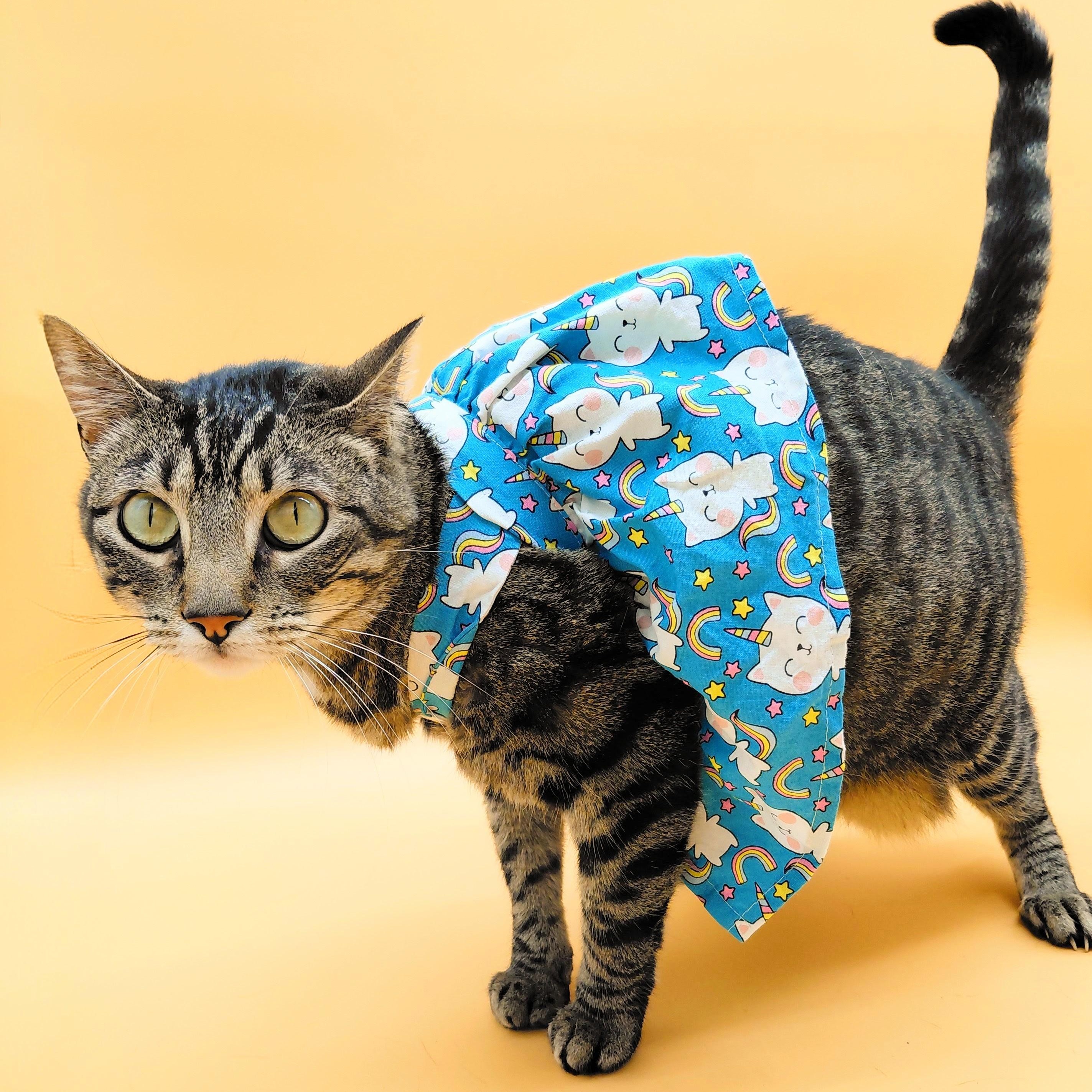 Vita Nova — thumbnail 4