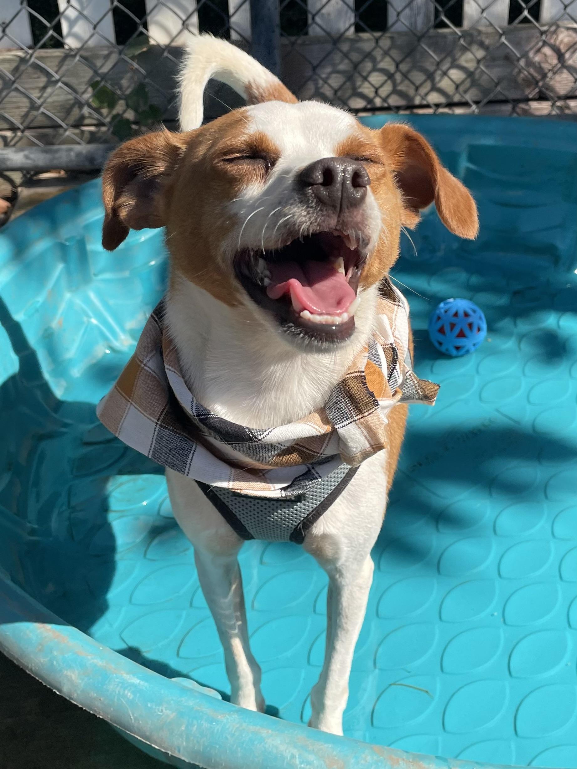 Hopper — thumbnail 2