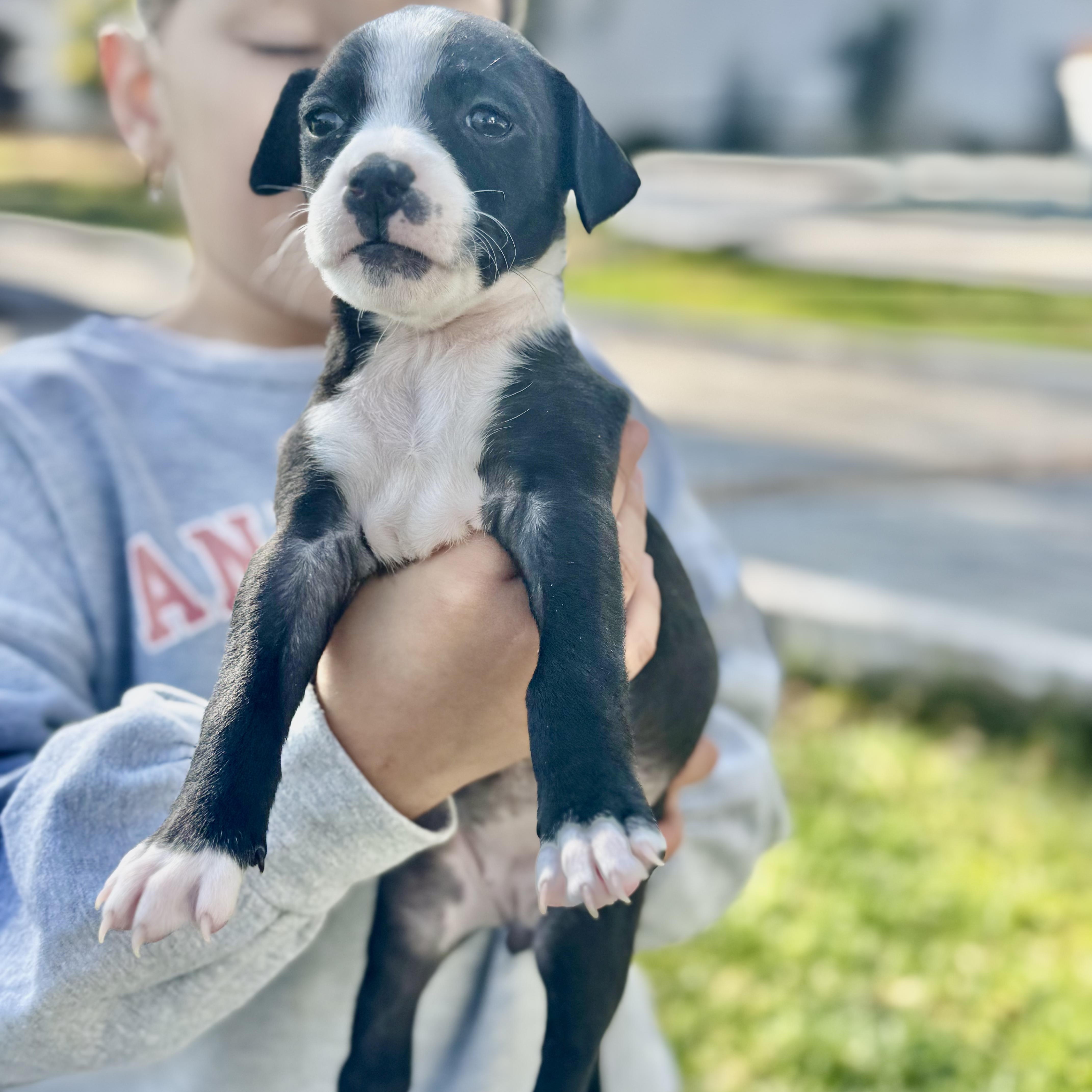 Emma — thumbnail 5