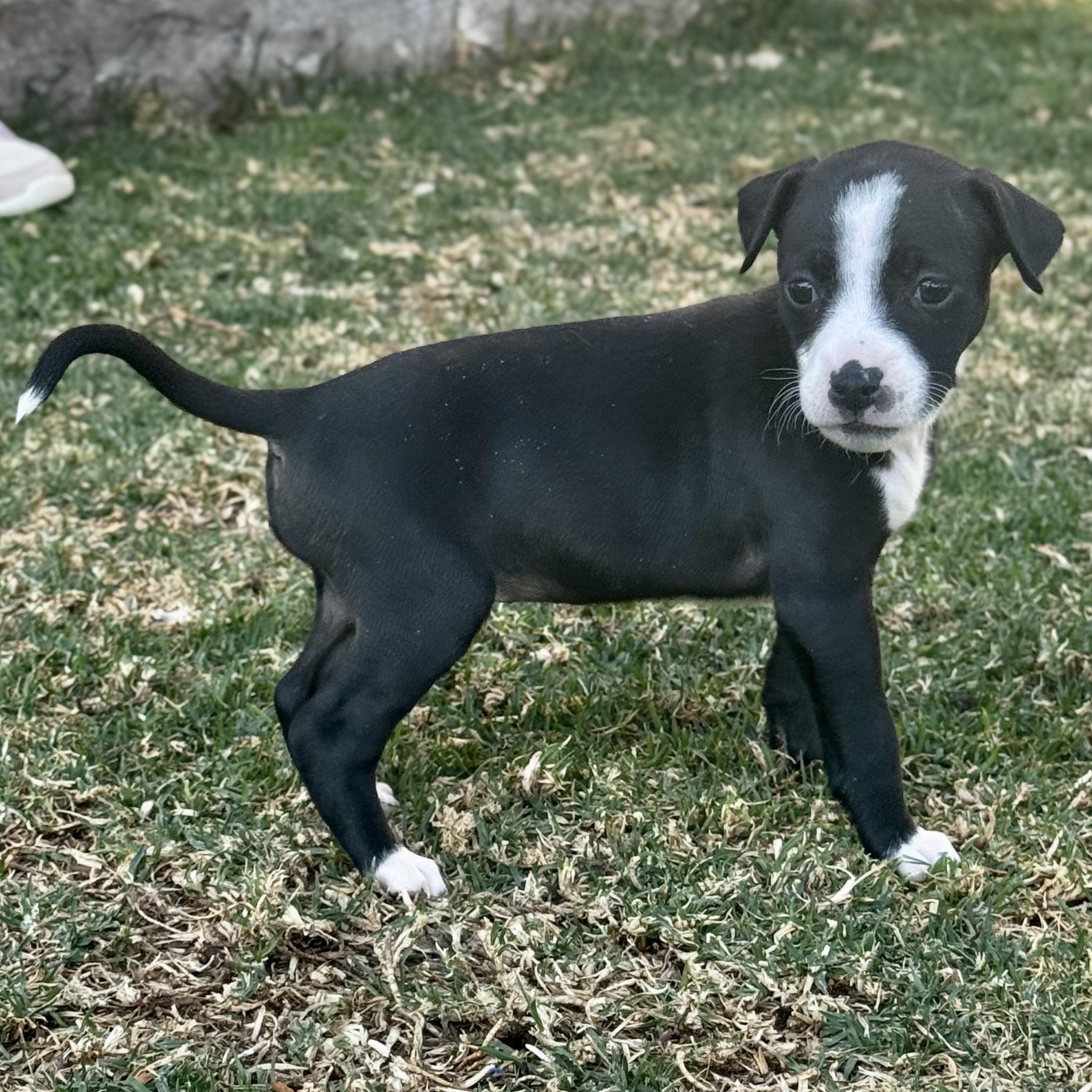 Emma — thumbnail 6