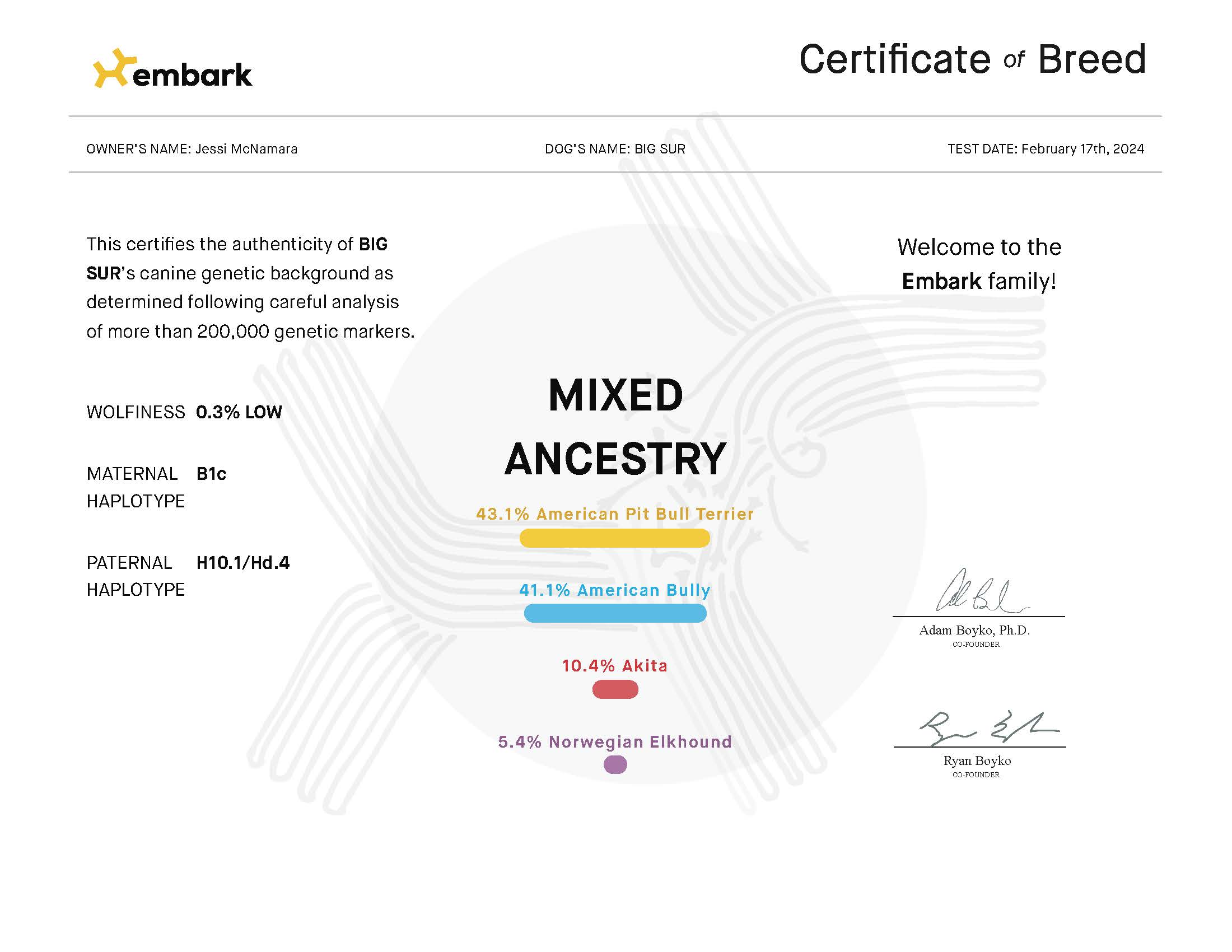 Big Sur, an adoptable Pit Bull Terrier, American Bully in Des Peres, MO, 63131 | Photo Image 6